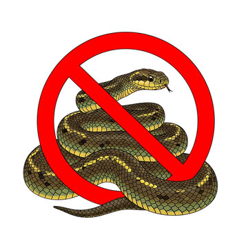 A warning sign featuring a coiled snake inside a red prohibition circle, representing danger, venomous reptiles, and a symbol of restricted access isolated on a transparent background