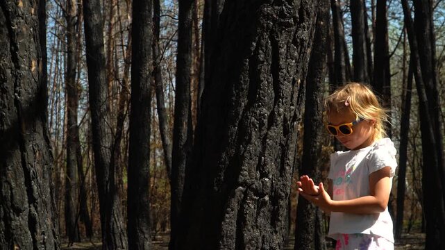 cheerful girl sunglasses white T-shirt stands burnt tree forest, touching hand, examining soot marks fingers pointing camera. It's sunny, bright spring day. consequences of a forest fire