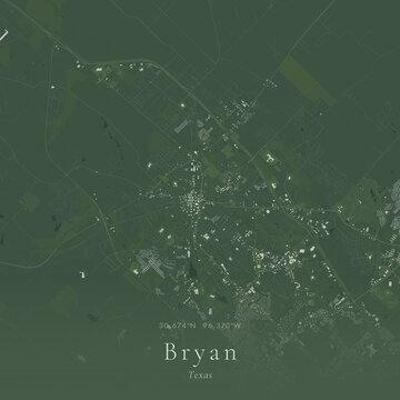 Sage Green Map of Bryan, United States | Modern Scandinavian Wall Art