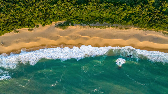 Aerial view of Praia das Laranjeiras with golden sand, turquoise waves, and lush green forest bordering the coastline in Balneario Camboriu, Santa Catarina, Brazil.