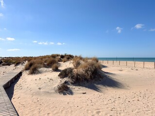 wide sandy dune and beach landscape of the Playa de Camposoto, long promontory between the Atlantic Ocean and the Cano de Sancti Petri near Cadiz, Andalusia, Spain © keBu.Medien