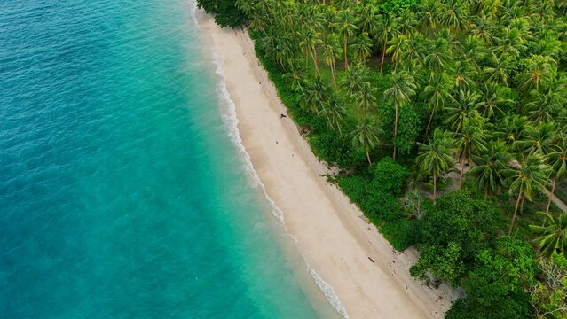 Aerial view of Pantai Wainuru with its pristine white sand beach, turquoise waters, and lush coconut palm trees along the coastline Salahutu, Maluku, Indonesia.