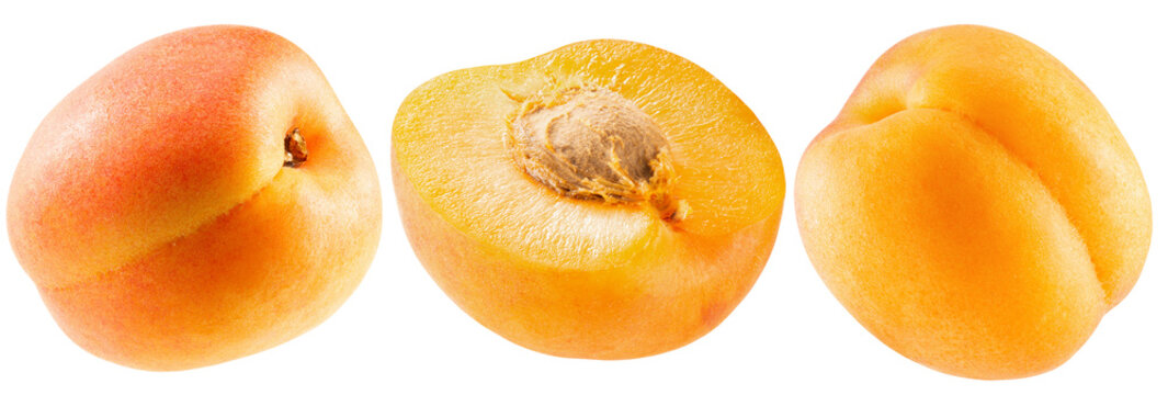 Three fresh apricots including a sliced one isolated on a white background