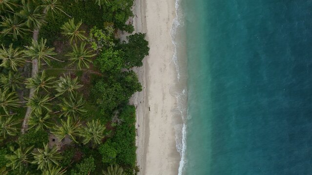 Aerial view of Pantai Wainuru featuring a pristine white sand beach bordered by lush palm trees and turquoise ocean waters in Salahutu, Maluku, Indonesia.