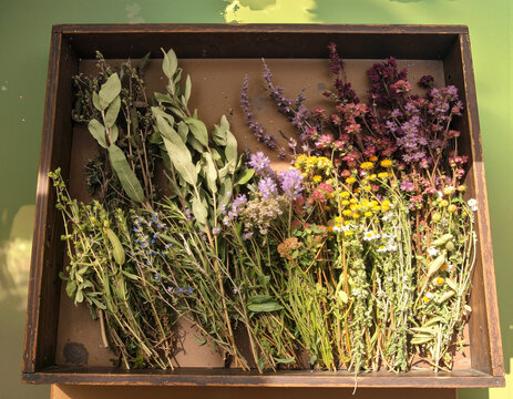 tray of dried herbs