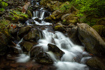 waterfall in the forest © steve