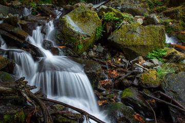 waterfall in the forest © steve