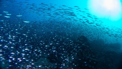 underwater scene with bubbles © チャッキー