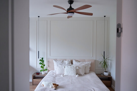 Ceiling fan installed in modern bedroom where dog is lying on neatly made bed