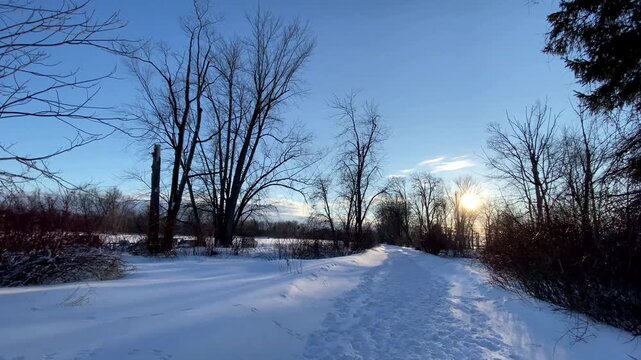 Low angle wide-angle shot of a snow-covered winter path lined with bare deciduous trees and pine trees during a crisp, clear sunset.