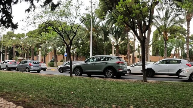 Elche 
Alicante, Espa&ntilde;a, comunidad valenciana