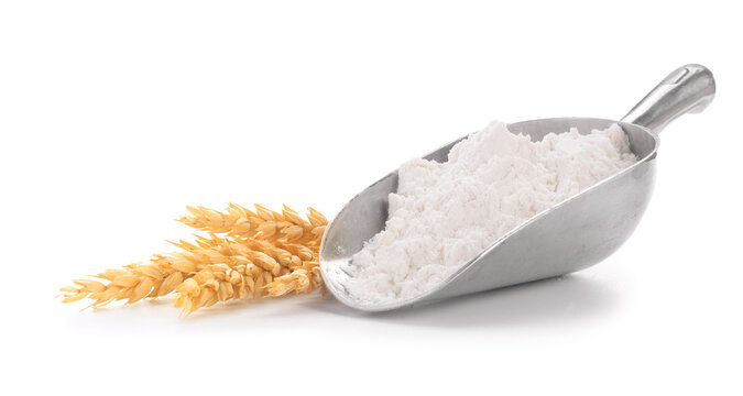 Wheat flour in scoop and spikes isolated on white