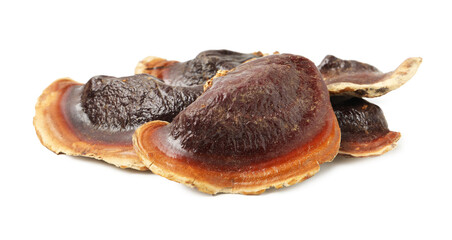 Many functional Reishi mushrooms isolated on white © New Africa