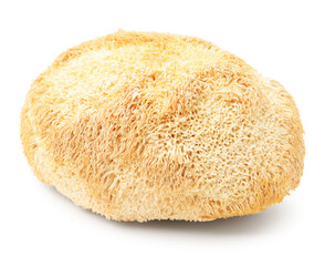 Functional Lion's mane mushroom isolated on white © New Africa