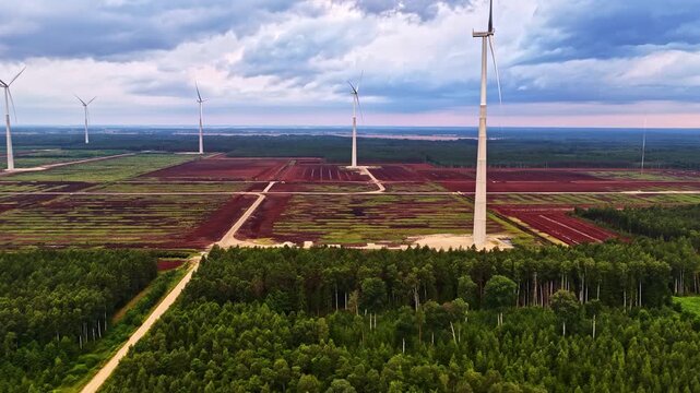 Aerial view of wind turbines in Kaigu purvs peat bog with surrounding forest and dirt road under a cloudy sky in Livberze parish, Jelgava Municipality, Latvia.