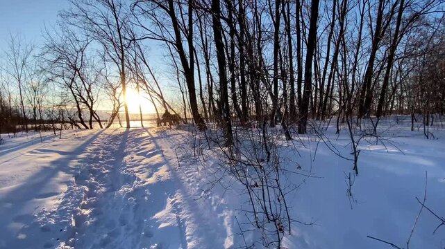 Bright low winter sun filtering through bare forest trees, illuminating a snow-covered walking path with long dark shadows.