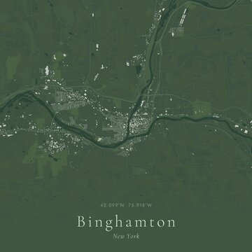 Sage Green Map of Binghamton, United States | Modern Scandinavian Wall Art