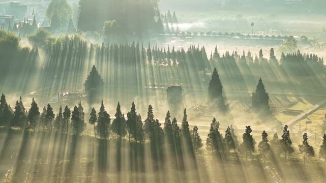 Aerial view of Candi Arjuna Dieng surrounded by misty trees and illuminated by morning sun rays in Indonesia.