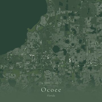 Sage Green Map of Ocoee, United States | Modern Scandinavian Wall Art