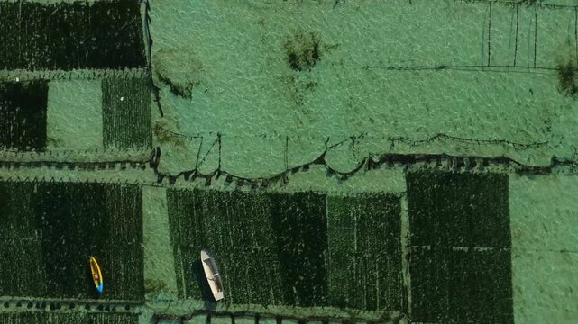 Aerial view of seaweed farming plots with ropes and nets in the shallow turquoise waters of Nusa Lembongan, Nusa Penida, Bali, Indonesia.