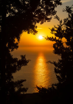 Orange sunset over the Mediterranean viewed through coastal eucalyptus and pine trees, Lefkada, Greece