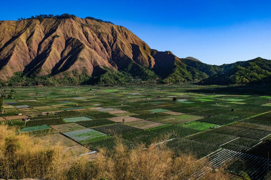 Aerial view of farmland with a mountain backdrop, Sembalun, Lombok, Indonesia