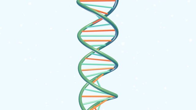 Authentic 3D medical DNA double helix structure with base pairs on bright studio background 4K 60FPS motion loop