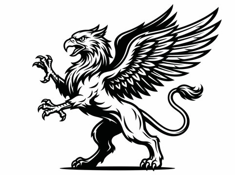 Griffin vector illustration