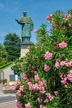 Close-up of a pink oleander bush in front of the Colossus of San Carlo Borromeo (Sancarlone) statue, Arona, Lake Maggiore, Piedmont, Italy