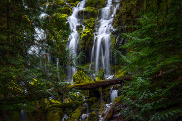 waterfall in the forest © steve