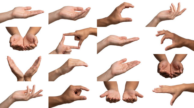 Collage of multiethnic human hand gestures isolated on a white background showing various positions like holding, giving, and reaching