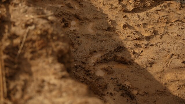 Textured brown and yellow sand showing depressions, small puddles of water, and organic debris, creating a natural background with areas of shade