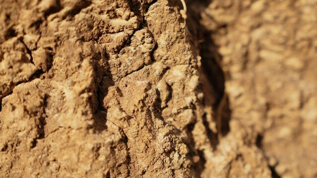 Dry cracked soil surface creating an abstract natural background with rough textured brown earth, ideal for environmental, drought, or texture concepts