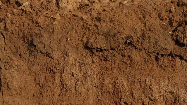 Dry brown soil texture creating a detailed natural background, showing different layers and loose earth elements, useful for concepts like agriculture, land, or growth