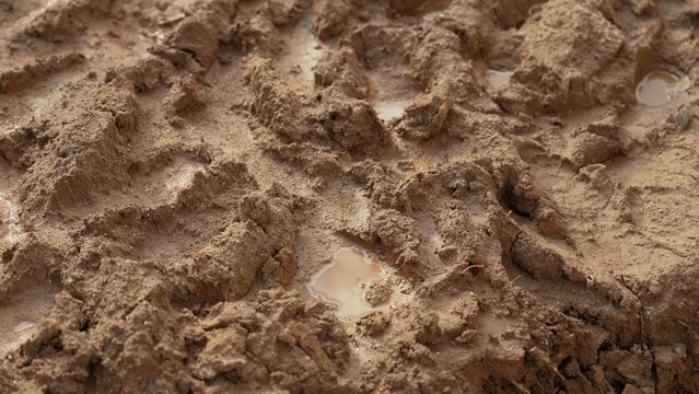 Vehicle tire treads pressing into wet brown mud, creating deep imprints and forming small puddles on the ground, illustrating a challenging and rough outdoor terrain condition