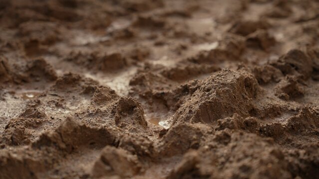 Muddy ground featuring deep tire tracks and small puddles of water, showcasing a rich earthy texture and the raw, natural conditions of a wet environment
