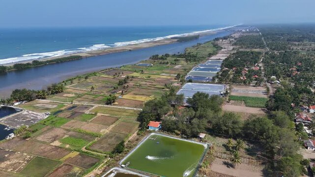 Aerial view of coastal aquaculture ponds and agricultural fields along the coastline in Kecamatan Kebumen, Jawa Tengah, Indonesia.