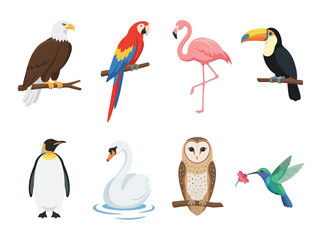 Obraz premium A collection of diverse bird species illustrated in a colorful cartoon style.