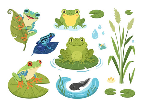 A collection of cute cartoon frogs and tadpoles in a pond environment.
