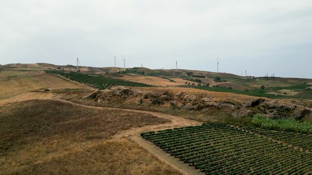 Aerial view of wind turbines and vineyards on rolling hills in the countryside of Trapani, Sicily, Italy.