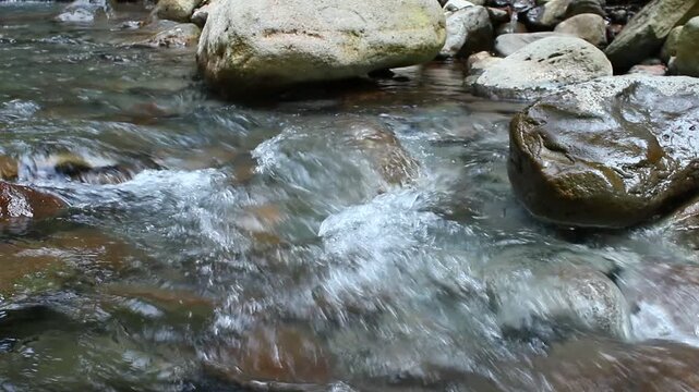 Peaceful river stream flowing gently through a mountain forest with crystal clear water and relaxing nature sounds for sleep and meditation.