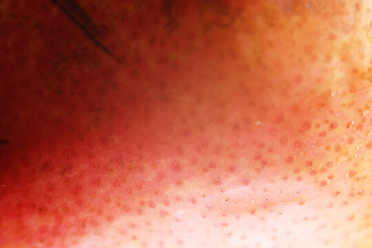 Macro texture of rotten fibrous pear