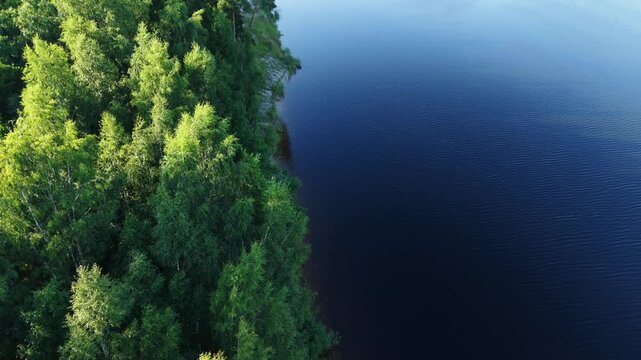 Aerial view of dense green forest bordering a dark blue river in Valgunde Parish, Jelgava Municipality, Latvia.