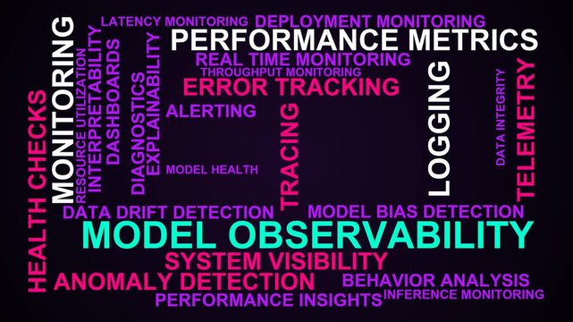 Model Observability Word Cloud