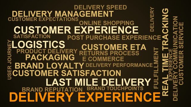 Delivery Experience Word Cloud