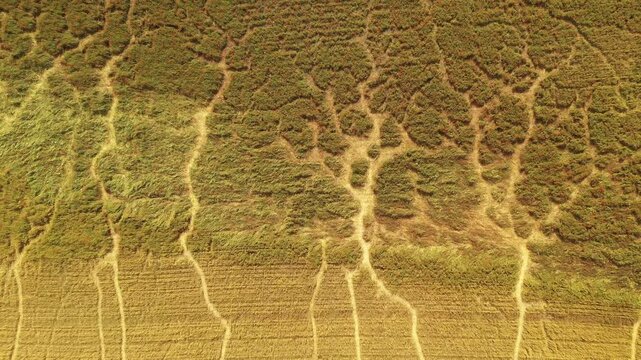 Aerial view of agricultural fields with intricate drainage patterns and soil textures in Alytus, Alytus County, Lithuania.