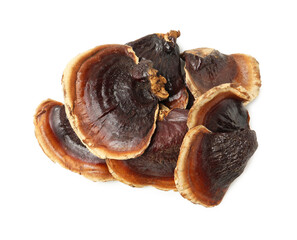 Many functional Reishi mushrooms isolated on white, top view © New Africa