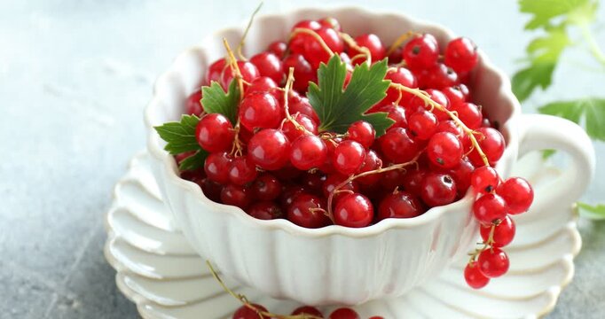 Fresh ripe red currants in cup and green leaves on grey table, closeup. Camera spinning