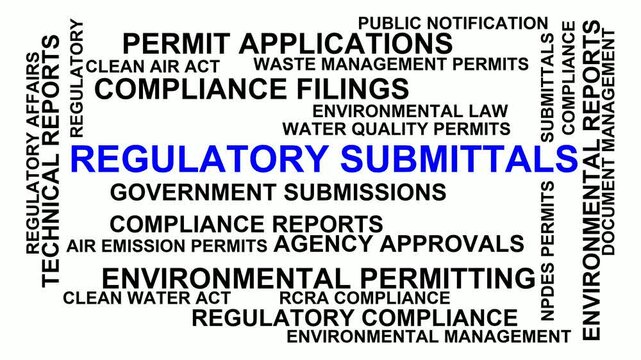 Regulatory Submittals Word Cloud