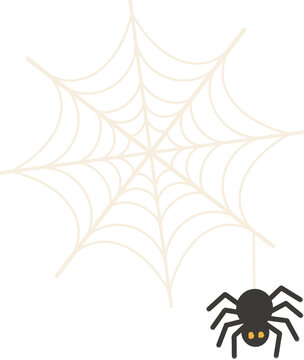 spider and web